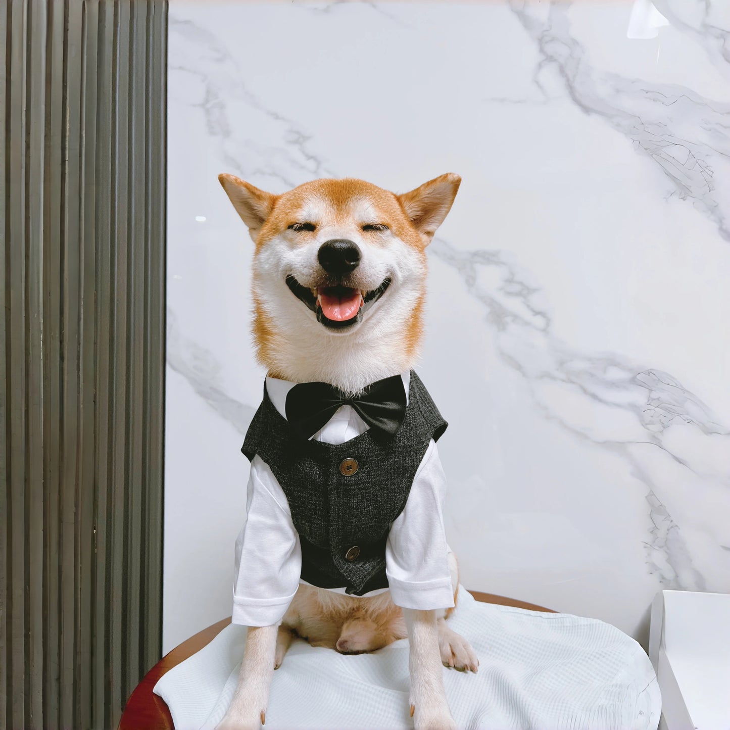 Pet Dog clothes Tuxedo Suit Adjustable Bow Tie Wedding Costume,Formal Pet Attire for Puppy Prince Party, Pet Set garment for dog