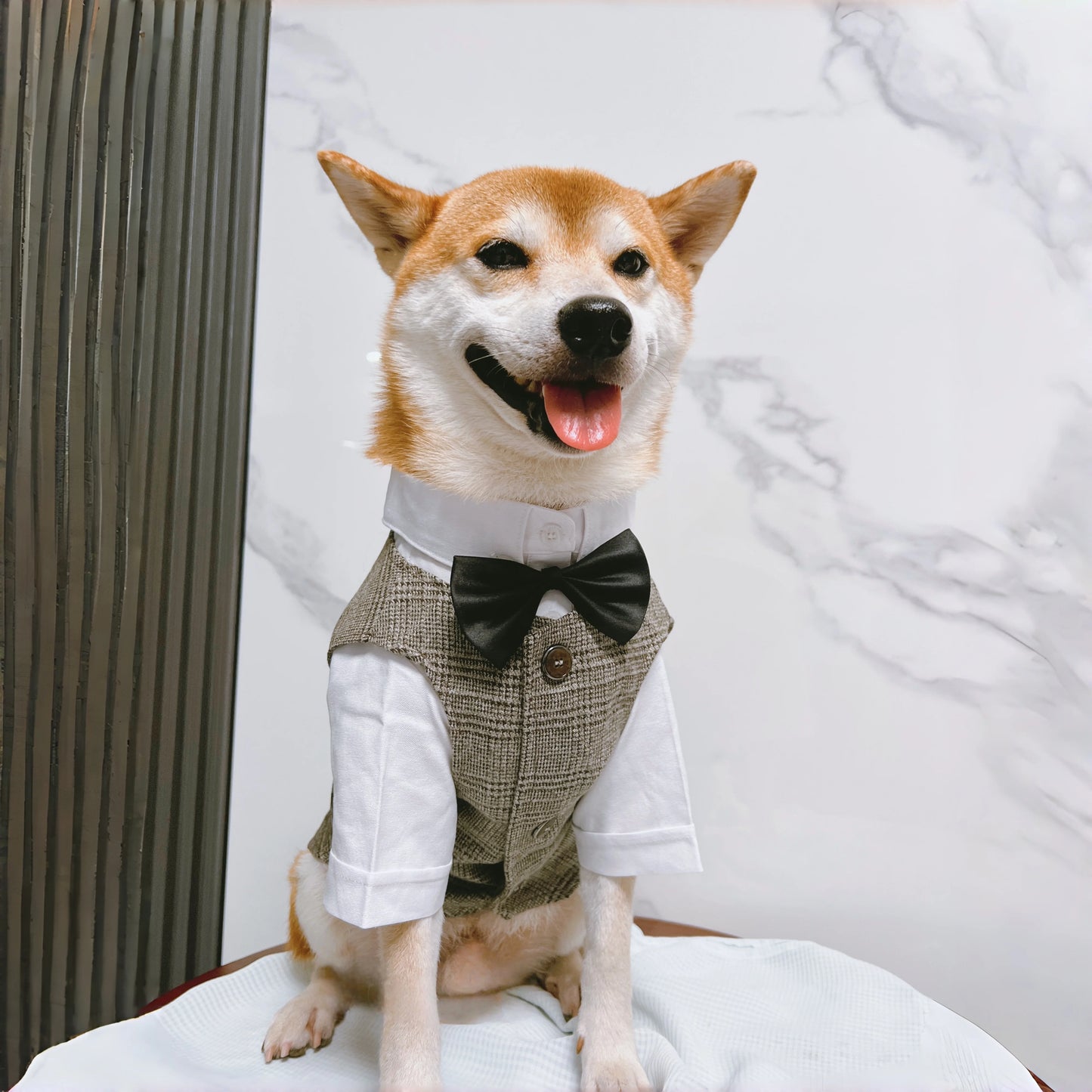 Pet Dog clothes Tuxedo Suit Adjustable Bow Tie Wedding Costume,Formal Pet Attire for Puppy Prince Party, Pet Set garment for dog