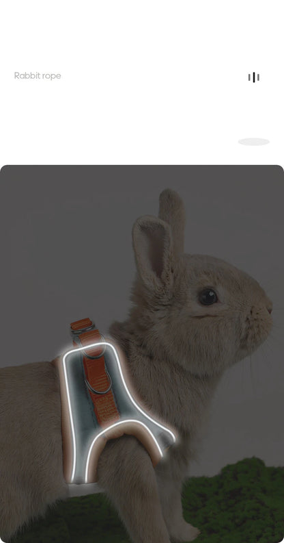 Rabbit Walks Adjustable Bunny Harness and Leash Set Double Buckle with Reflective Strips Rabbit Vest Pets Stuff Suitable