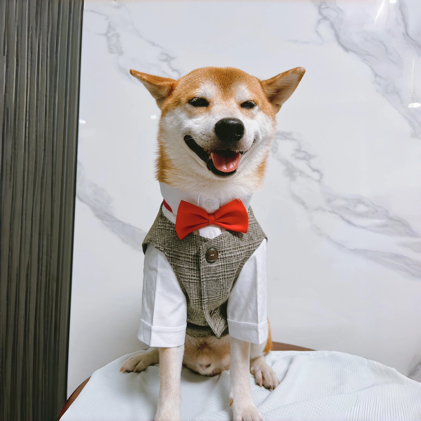Pet Dog clothes Tuxedo Suit Adjustable Bow Tie Wedding Costume,Formal Pet Attire for Puppy Prince Party, Pet Set garment for dog