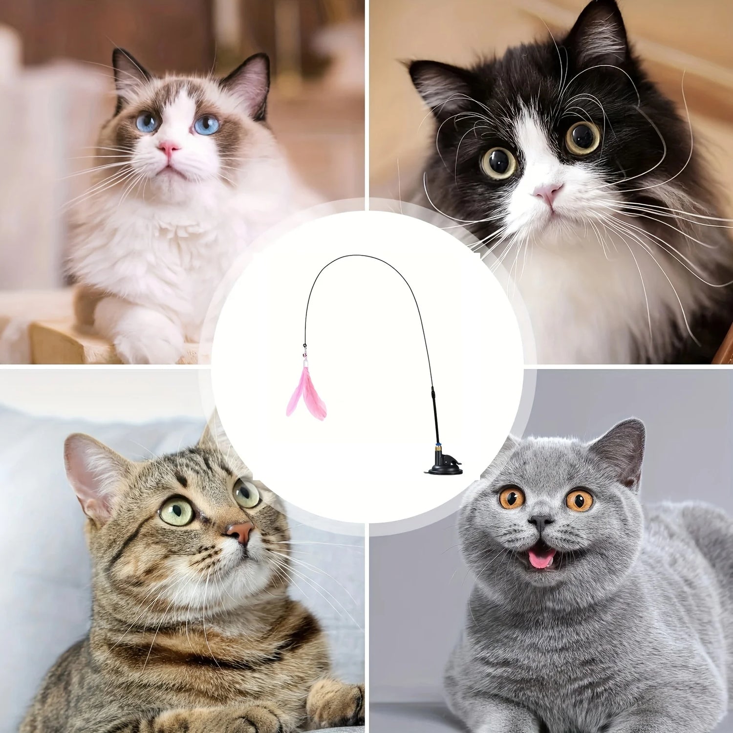 Cat Teaser Toy - Interactive Bell &amp; Feather Wand - Long Suction Cup Pole for Exciting Playtime Adventures - Ultimate Cat Toy
