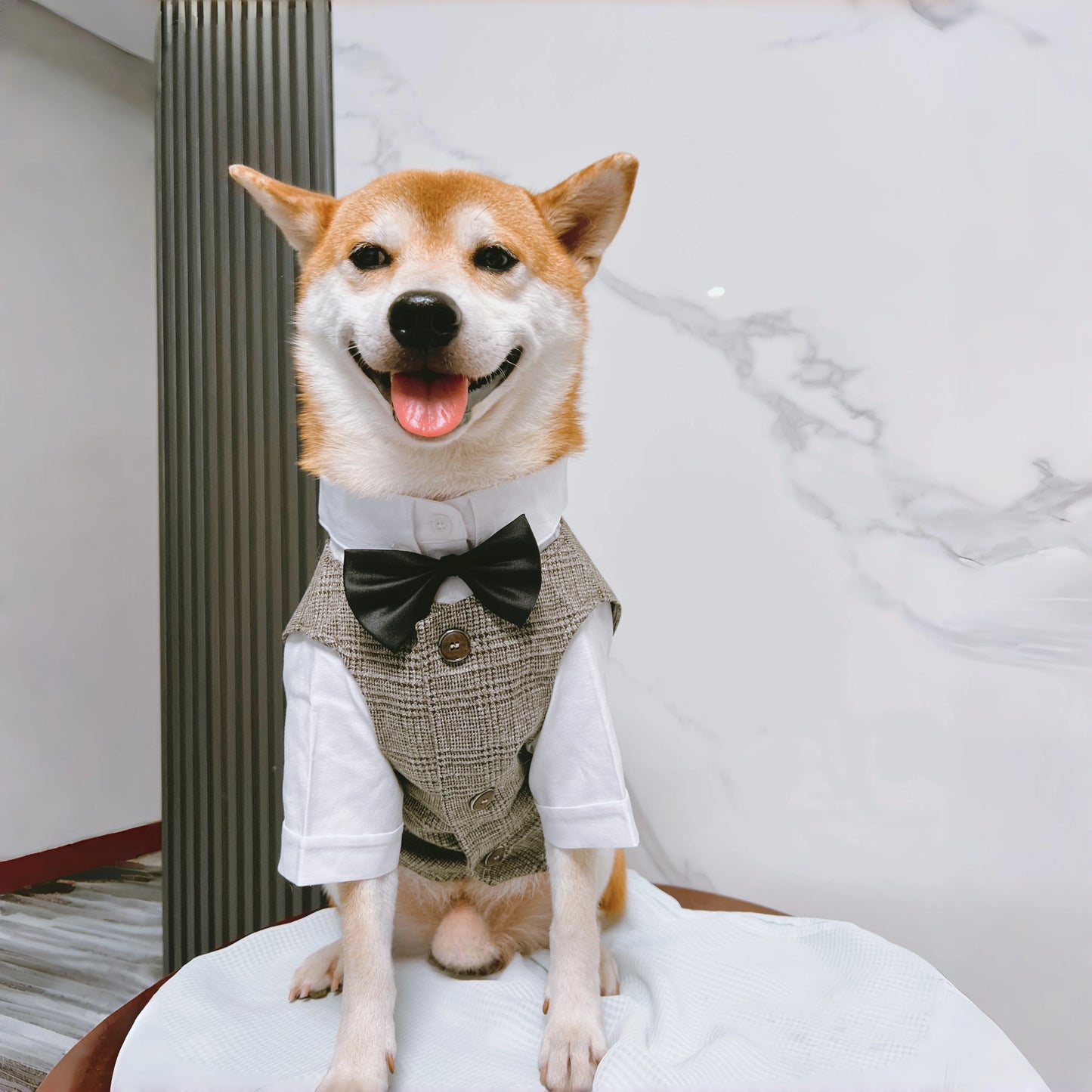Pet Dog clothes Tuxedo Suit Adjustable Bow Tie Wedding Costume,Formal Pet Attire for Puppy Prince Party, Pet Set garment for dog