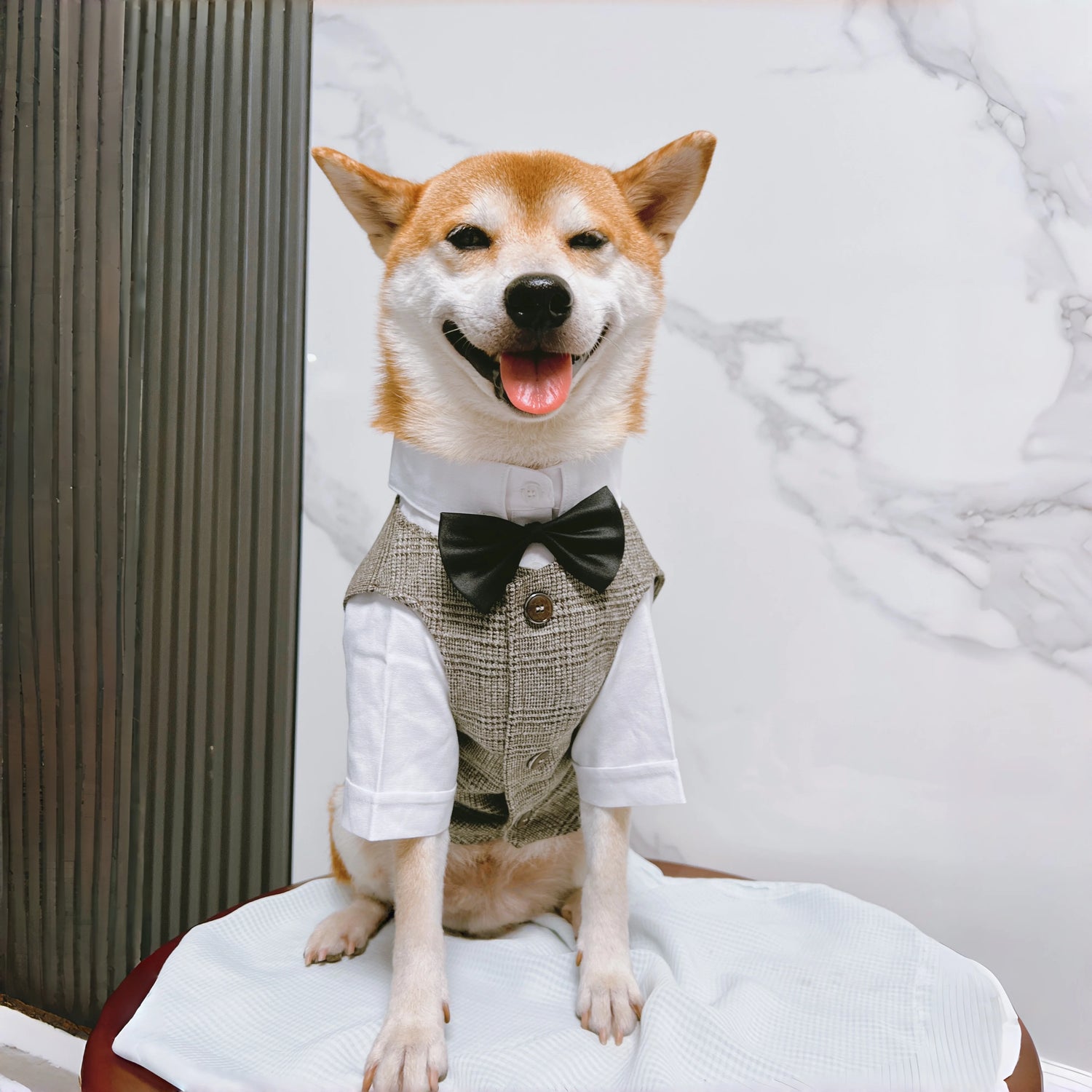 Pet Dog clothes Tuxedo Suit Adjustable Bow Tie Wedding Costume,Formal Pet Attire for Puppy Prince Party, Pet Set garment for dog